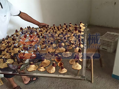 青海熱泵烘干機用戶現場