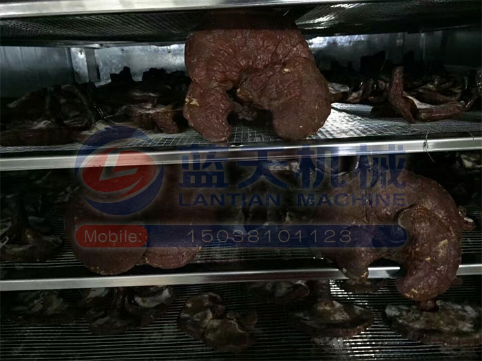 青海熱泵烘干機用戶現場