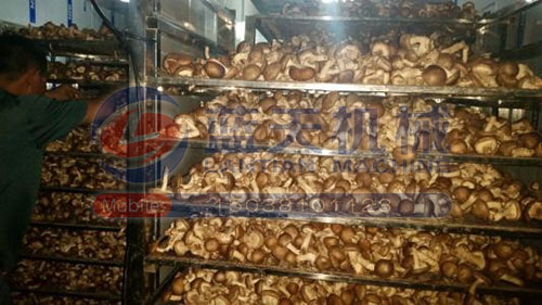 香菇烘干技術解決方案