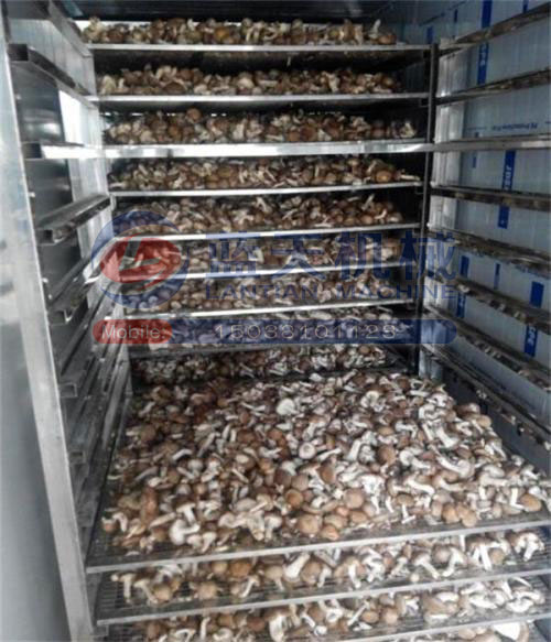 香菇烘干技術解決方案