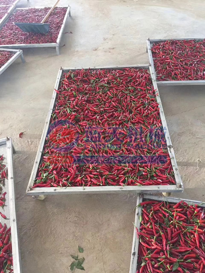 大型食品烘干機(jī)試機(jī)現(xiàn)場(chǎng)