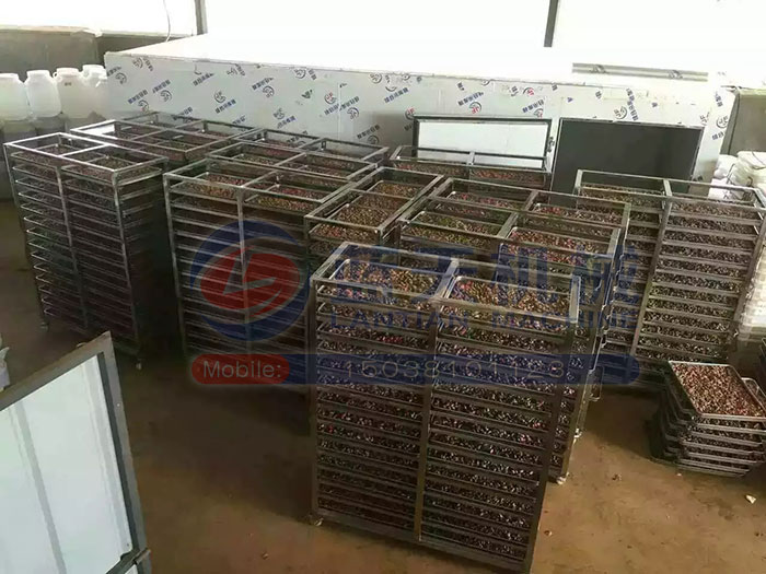 大型食品烘干機(jī)試機(jī)現(xiàn)場(chǎng)