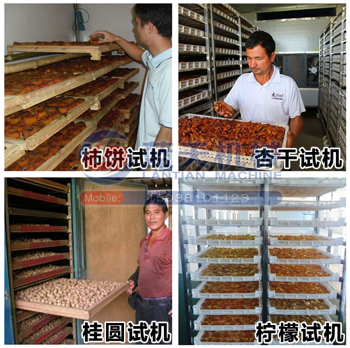 大型果脯烘干機現場